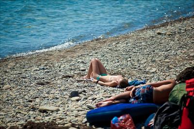 Нудистские пляжи: зачем их посещают и законно ли это | Нижегородская  область | ФедералПресс