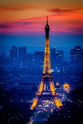 Eiffel Tower at Twilight Mural Wallpaper