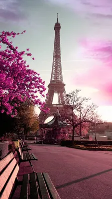 Download Paris wallpaper by georgekev - af - Free on ZEDGE™ now. Browse  millions of popular bench Wallpap… | Paris wallpaper, Paris wallpaper  iphone, Paris pictures
