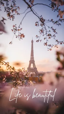 eiffel-tower-wallpaper-tumblr - A Taste Of Paris