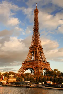 Eiffel Tower In Paris, France Wallpaper Mural