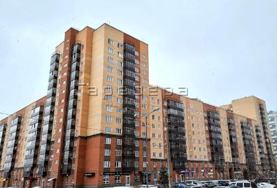 Когда начнут строить школу в микрорайоне Образцово в Красноярске - 23  декабря 2023 - НГС24.ру