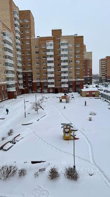 В микрорайоне Образцово в Красноярске в 2024 году начнут строить школу |  АиФ–Красноярск | Дзен