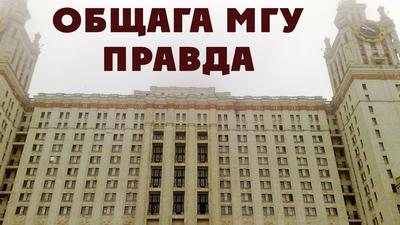 Самое большое общежитие МГУ откроют к осени – Москва 24, 09.02.2015