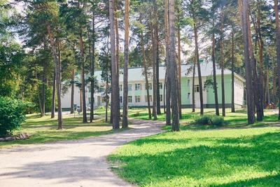 Филиал «Социально-оздоровительный центр «Обские зори» (дачный поселок Мочище)  | Социальные организации Новосибирска
