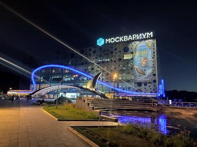 Москвариум, океанариум на ВДНХ в Москве. Цены 2024, сайт, фото, видео, как  добраться, отели рядом — Туристер.Ру