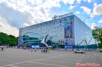 Москвариум\", океанариум, центр океанографии и морской биологии на ВДНХ в  Москве | KidsReview.ru