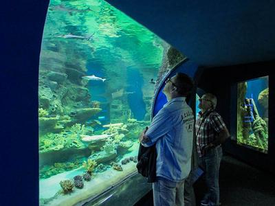 гостиница зоопарк океанариум новосибирск :: Отель «Шале» Новосибирск