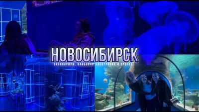 Океанариум Ocean park🎭🎬 отзывы, фото, цены, телефон и адрес - Развлечения  - Краснодар - Zoon.ru
