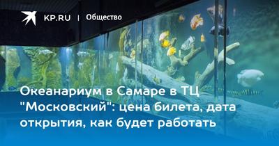 Океанариум в Самаре, отзыв от Vikus – \"В Самаре открылся океанариум\", Самара,  Россия, Февраль 2020