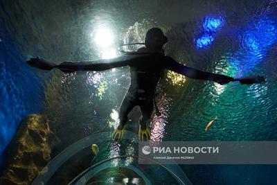 Отзыв о Океанариум \"Нептун\" (Россия, Санкт-Петербург) | Возвращение спустя  13 лет.