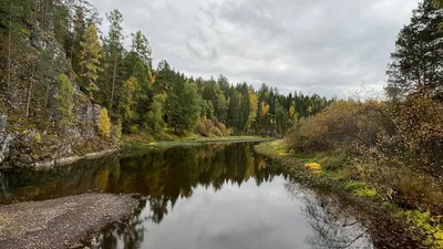 Природный парк Оленьи ручьи | ВКонтакте