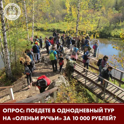 Парк Оленьи Ручьи | Путешествия по России и миру | Дзен