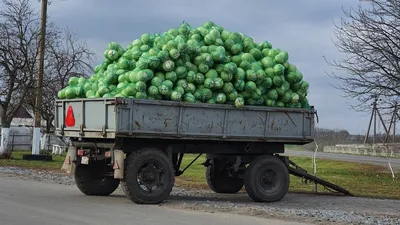 ДЕНЬ НЕЗАВИСИМОСТИ РЕСПУБЛИКИ БЕЛАРУСЬ И ДЕНЬ ГОРОДА СТОЛИНА ПРАЗДНУЮТ НА  СТОЛИНЩИНЕ 🇧🇾 #новостистолина #давидгородок #ольшаны #беларусь #… |  Instagram