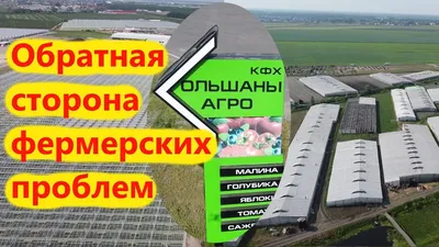 Туров и Ольшаны: жемчужины белорусского Полесья. | Газета \"Моторостроитель\"  | Дзен