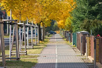 The Luise-Henritte-Steg in Oranienburg, Germany Stock Photo | Adobe Stock