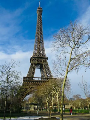 Сюрприз: предложение руки и сердца у подножия Ейфелевой Башни — Свадебный  фотограф в Париже