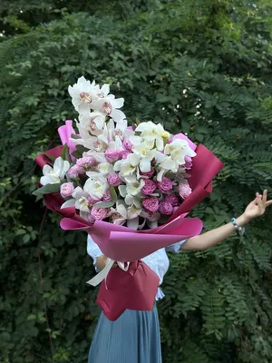 Подарок Орхидея фаленопсис 2-ствольная (Экстра)» – купить с доставкой по  Балашихе