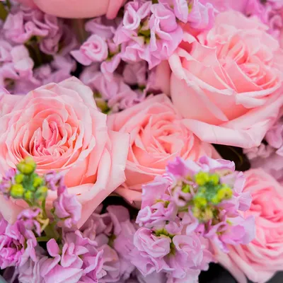Цветы в коробке с гортензией и пионами \"Палермо\" - купить с доставкой по  Киеву - лучшие цены на VIP букеты цветов в интернет магазине доставки  цветов STUDIO Flores