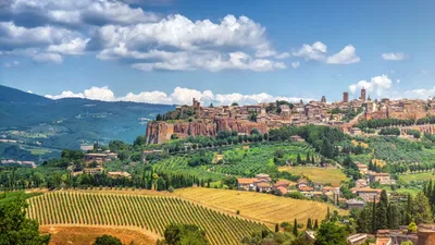 Orvieto - Italian Wine Region | Wine-Searcher