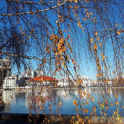 Екатеринбург. Осень. Плотинка. | Фотографии, Россия