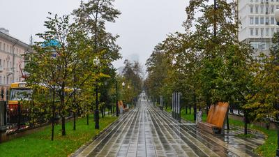 Осень и город, Екатеринбург, обложка…» — создано в Шедевруме