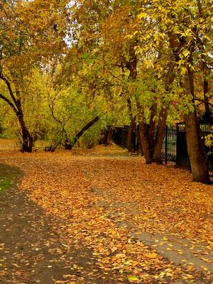 Екатеринбург. Осень в кварталах моего детства
