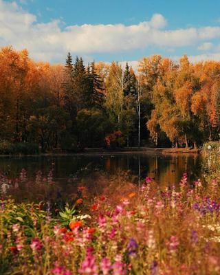 Осень в Екатеринбурге | Пикабу