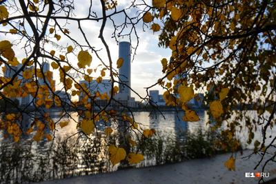 Осень в Екатеринбурге :: Leonid Rutov – Социальная сеть ФотоКто