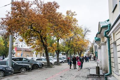 Подведены итоги фотоконкурса «Осень и зима в Екатеринбурге» - УралДобро