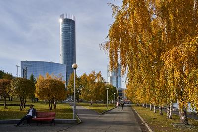 В Екатеринбурге ветер стихнет и потеплеет до +9 к 22 сентября | Уральский  меридиан