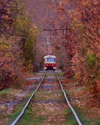 Осень в парке / Осень в дендропарке Екатеринбурга