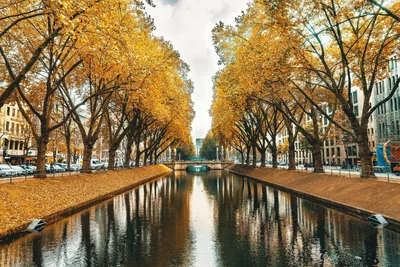 Осень в Германии - 71 фото