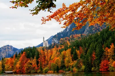 Осень в Германии | Пикабу