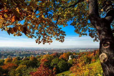 Осень в Германии - 71 фото
