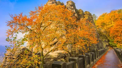 Картинки Бавария Нойшванштайн Германия гора Замки Осень 5600x3733