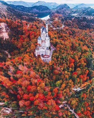 Осень в заповеднике Рорберг, Нижняя Франкония, Германия. / Германия :: лес  :: страны :: Осень :: Природа (красивые фото природы: моря, озера, леса) ::  фото :: Heiko Gerlicher (Photographer) / смешные картинки