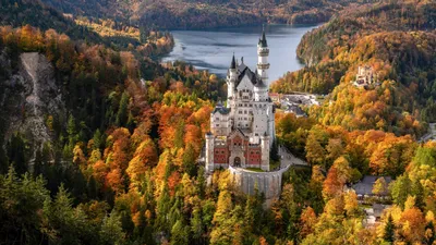 Осенний Лес В Германии — стоковые фотографии и другие картинки Осень - Осень,  Цвет осенних листьев, Фоновые изображения - iStock