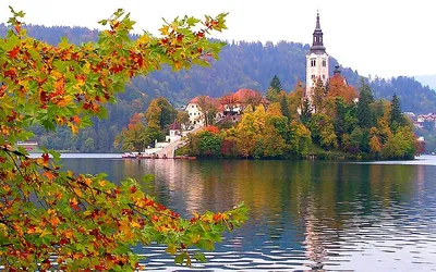 🍂 Осень в Германии: погода, климат, где отдохнуть осенью в Германии –  советы для туристов - Travellizy