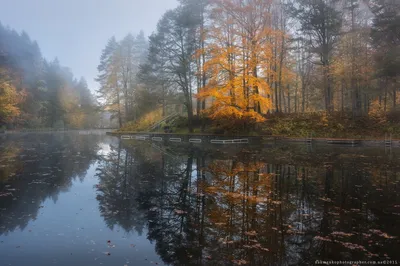 Осень в Германии - фото и картинки: 20 штук