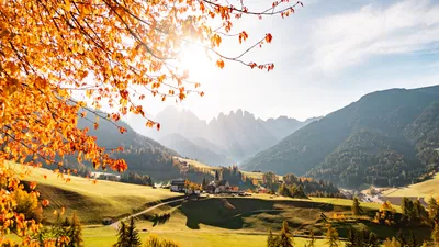 Золотая осень в Италии. Верона или возвращение в мечту. | Анна Krzyzevska  Иванова | Дзен