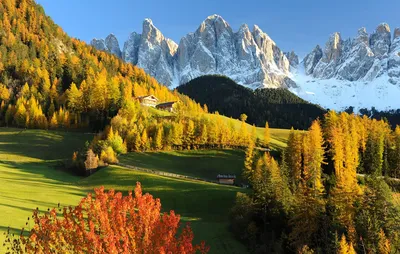 Вятские картины на холсте \"Италия South Осень Природа\" на подрамнике /  декор для дома / интерьер / на стену | AliExpress