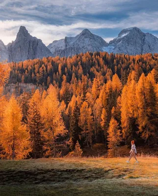 Деревья осени в королевской вилле Италии Стоковое Фото - изображение  насчитывающей италия, озеро: 140187674