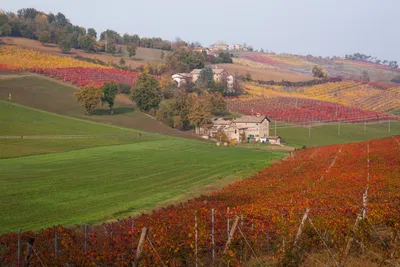 Осень в Италии | Пикабу