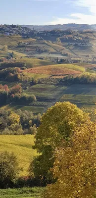 Дом В Лесу Осень Италия — стоковые фотографии и другие картинки Без людей -  Без людей, Ветрозащита, Вилла - iStock