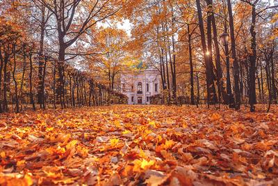 Осень в Москве картинки фотографии