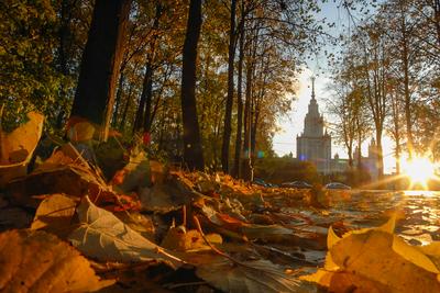 Куда сходить в Москве осенью: адреса, достопримечательности.