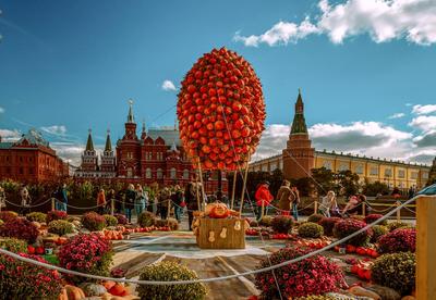 Где гулять осенью в Москве: 10 популярных мест