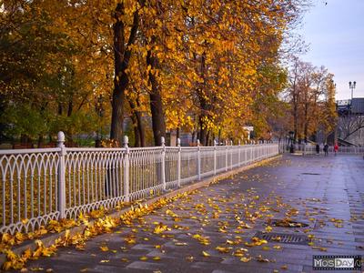 Где гулять осенью в Москве: 10 популярных мест