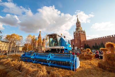 Сочинение \"Осенняя Москва\"